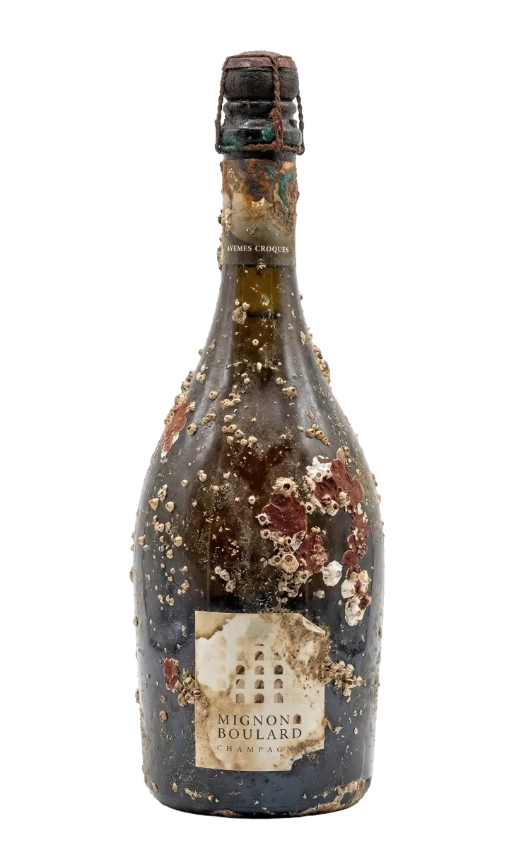 Atomes Crochus 1 Year Aged