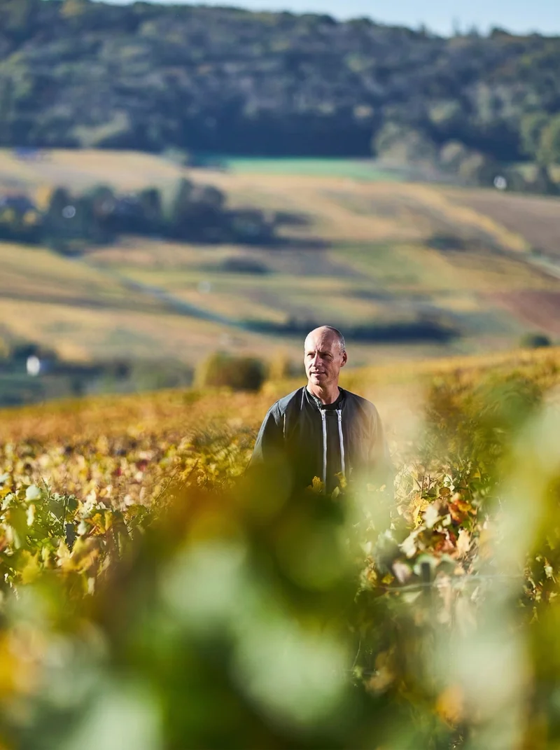 Champagne Mignon Boulard