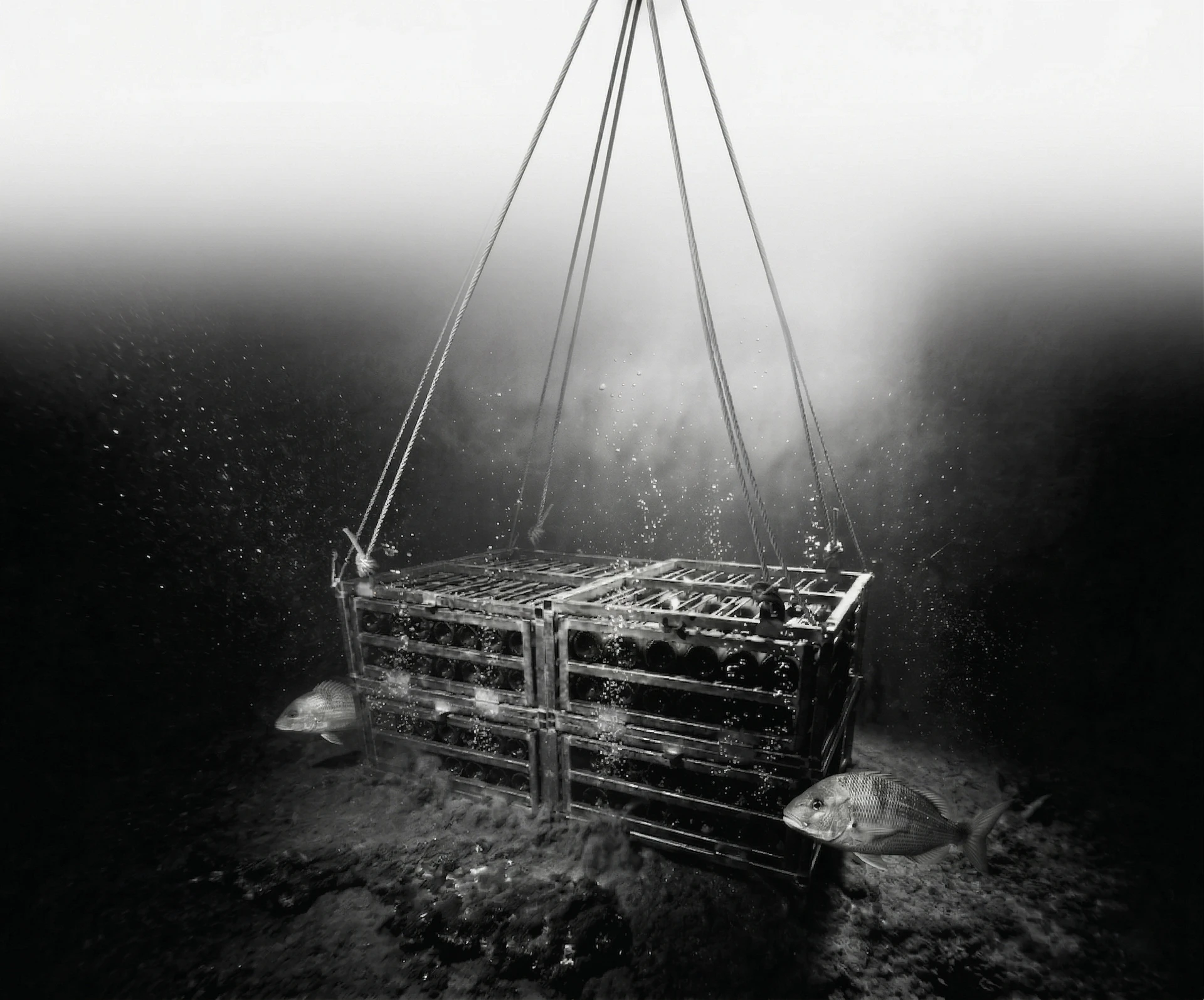 해저 숙성 환경